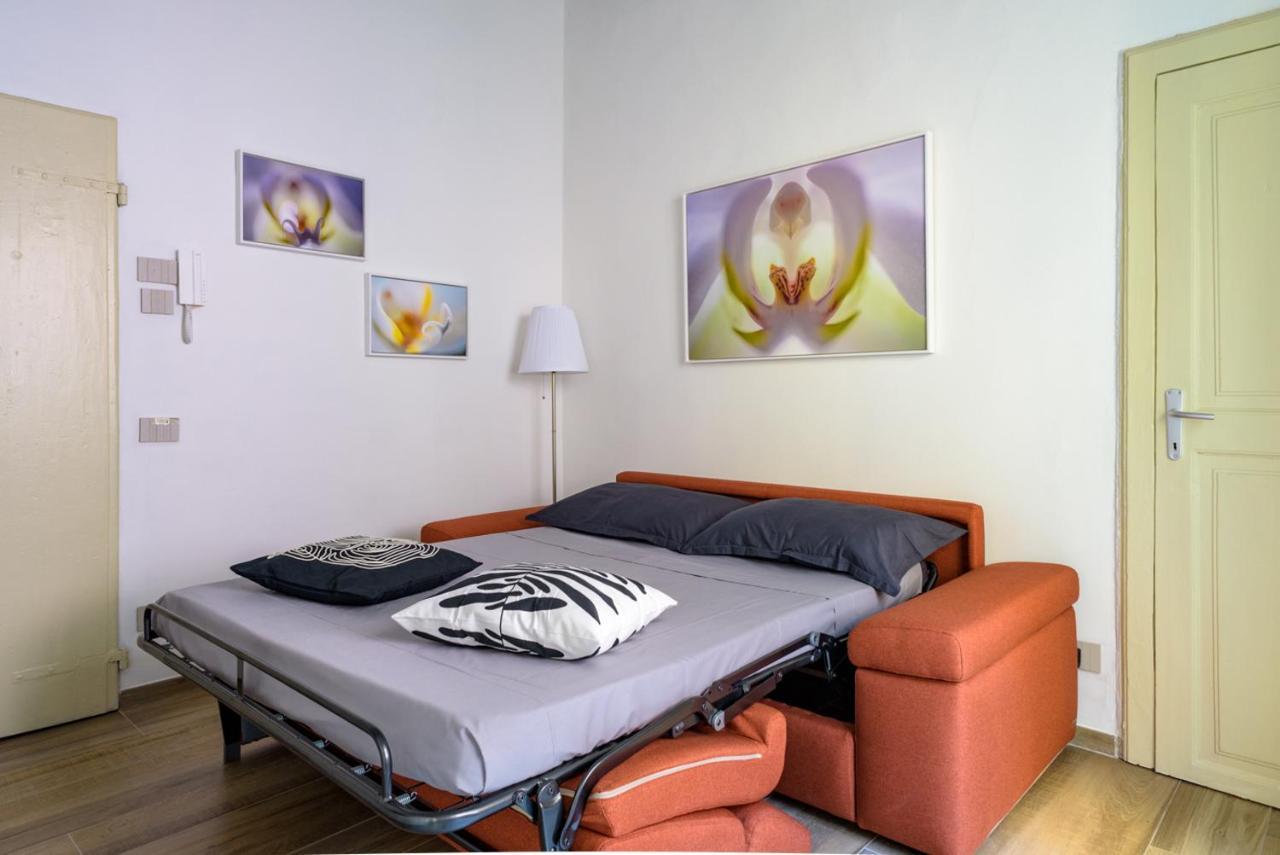Pisa Art Apartment エクステリア 写真