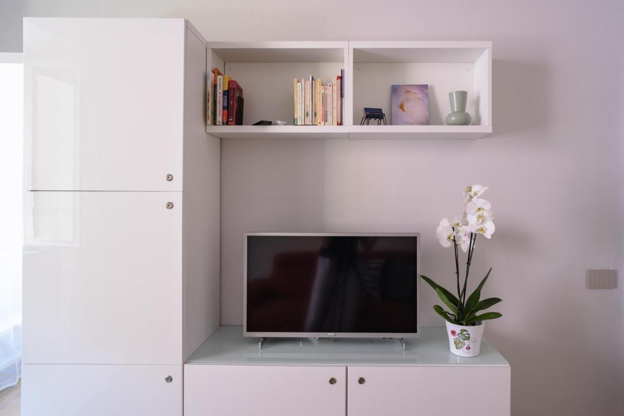 Pisa Art Apartment エクステリア 写真