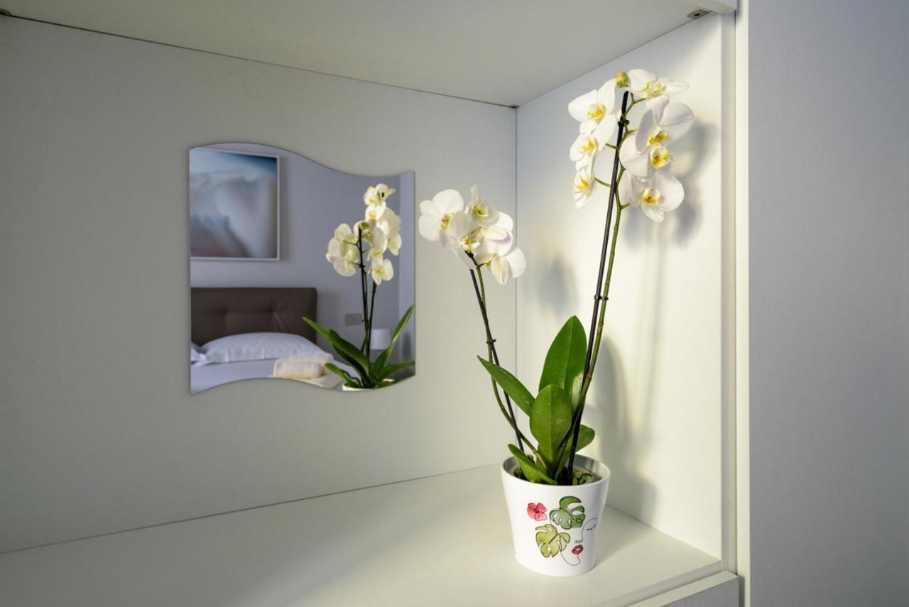 Pisa Art Apartment エクステリア 写真