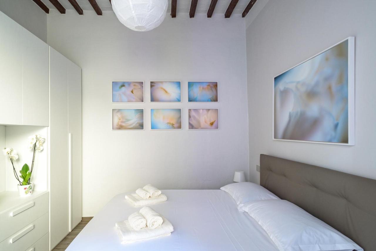 Pisa Art Apartment エクステリア 写真