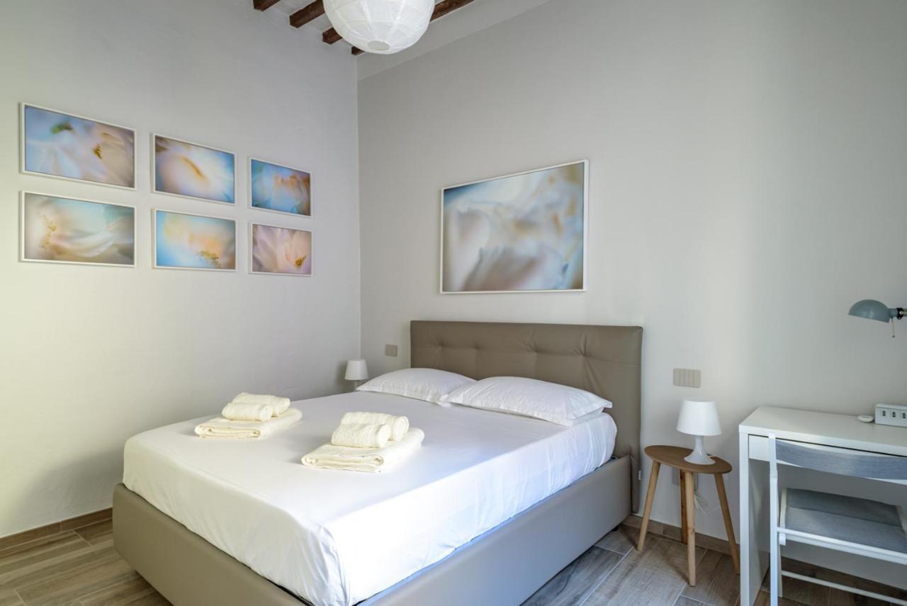 Pisa Art Apartment エクステリア 写真