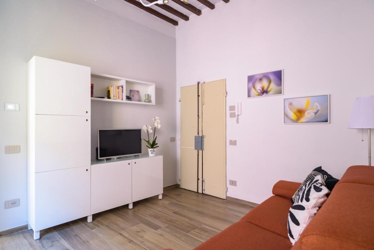 Pisa Art Apartment エクステリア 写真