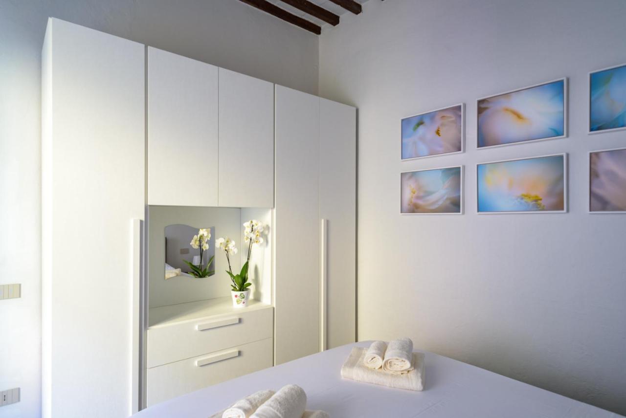 Pisa Art Apartment エクステリア 写真