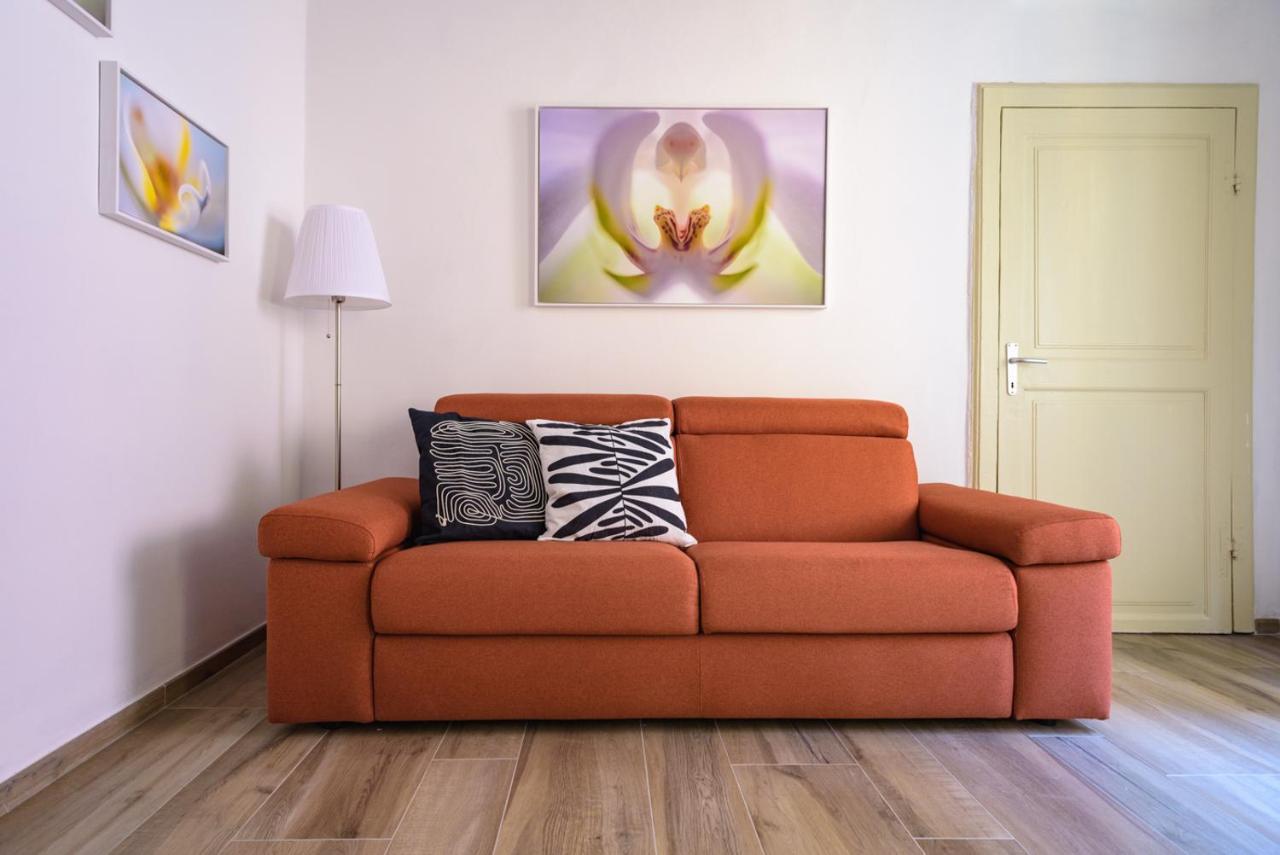 Pisa Art Apartment エクステリア 写真