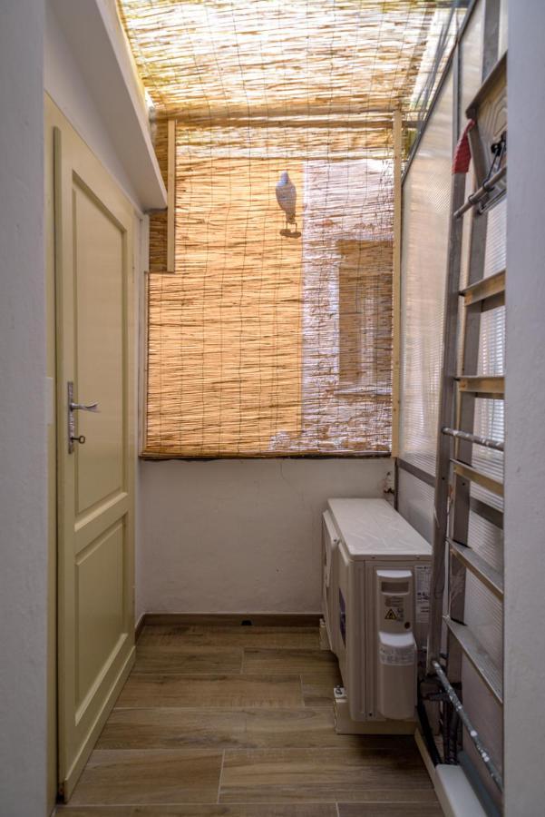 Pisa Art Apartment エクステリア 写真